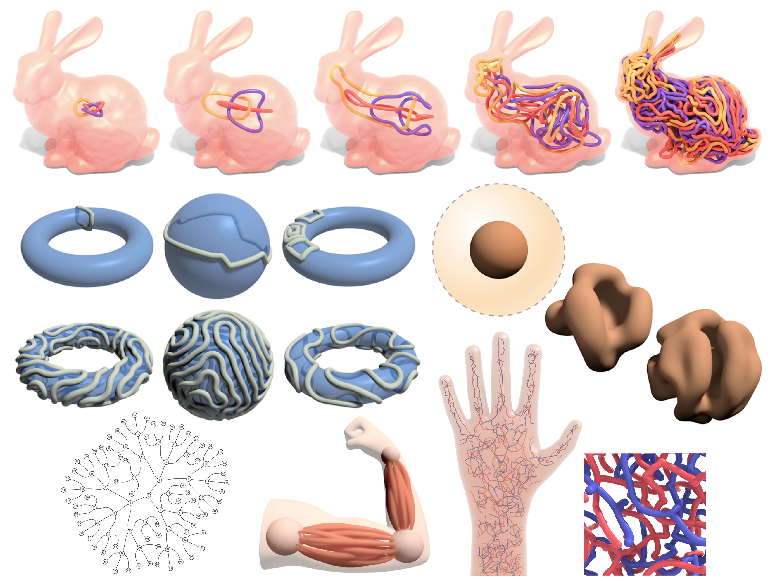  Different uses for repulsive forces to optimize shapes are depicted in a collage, including 3D models of the internal structure of a rabbit, the interior of a human hand, and muscles in a human arm.